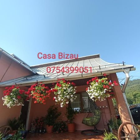 Casa Bizau Ξενοδοχείο Viseu de Mijloc Εξωτερικό φωτογραφία