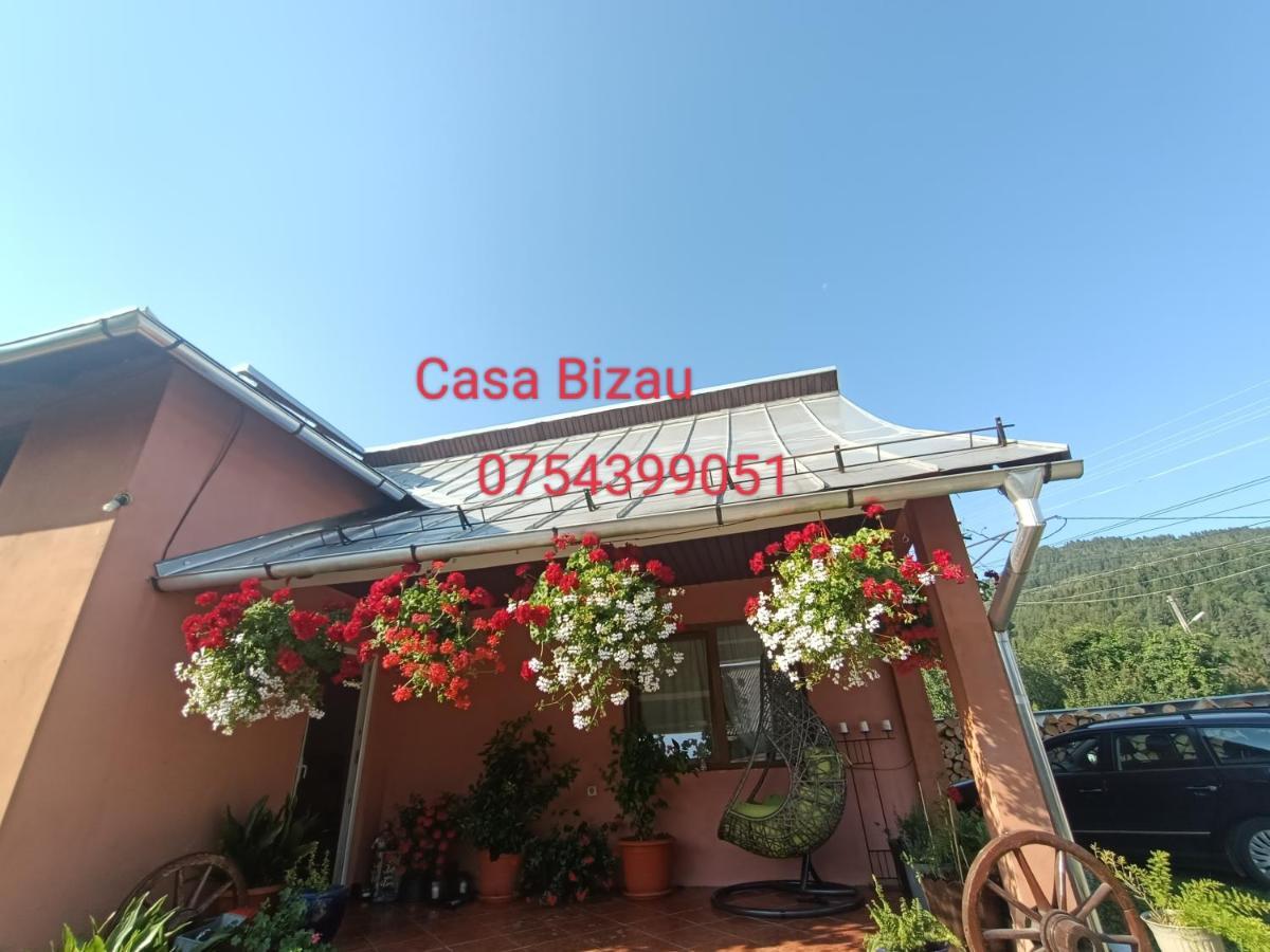 Casa Bizau Ξενοδοχείο Viseu de Mijloc Εξωτερικό φωτογραφία